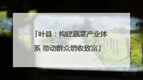 叶县：构建蔬菜产业体系 带动群众增收致富